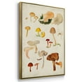 thumbnail image 3 of Mushroom Species X - Framed Premium Gallery Wrapped Canvas L Frame 3 Piece Set - Ready to Hang, 3 of 9