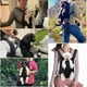 thumbnail image 2 of Bolsa para Transportar Mascotas, Mochila para Perros - Mochila para Transportar Perros y Gatos con Parte Delantera Ajustable para Mascotas, Mochila de Transporte para Mascotas para Viajes/Senderismo/, 2 of 5