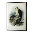 thumbnail image 3 of Ancient Bird Life VI 24 in x 32 in Framed Painting Canvas Art Print, by Designart, 3 of 5