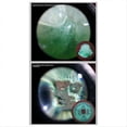 thumbnail image 5 of Upgrade Five Generations Charles Color Filter Magnifying Glass, 5 of 5
