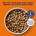 thumbnail image 4 of Nature's Recipe Chicken, Barley & Brown Rice Adult Dry Dog Food, 12 lb Bag, 4 of 11