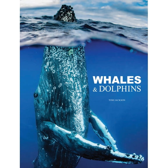 Animals in Photographs Whales & Dolphins, (Hardcover)