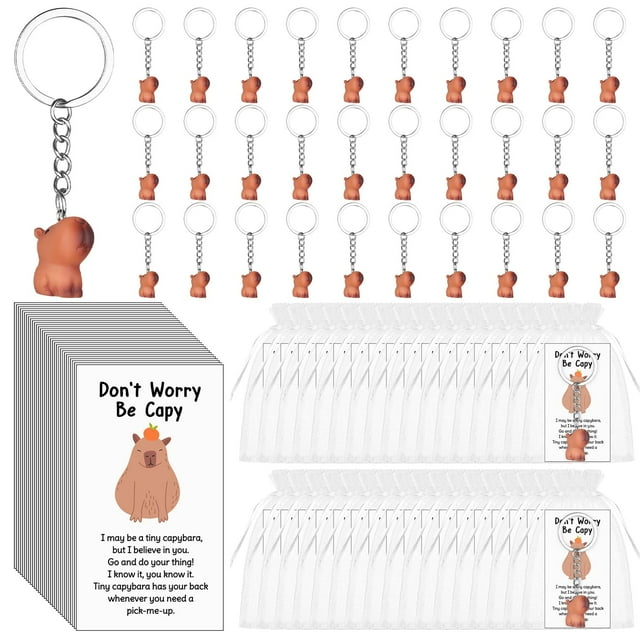 25 Sets Inspirational Gifts Emotional Support Positive Capybara Resin Keychains Positive Affirmation Cards Thank You Gift Motivational Christmas Appreciation Gifts for Employee Teacher Coworker Staff