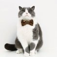 thumbnail image 5 of Flexible Bow Tie Pet Collar - Easy-Wearing Ribbon Collar with Cute Dots Pattern - Perfect Puppy Accessory, 5 of 8