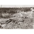 thumbnail image 2 of World War I German Dead. Ngerman Casualties On A Sunken Road Near Moislains France 1918. Photograph. Print by, 2 of 4