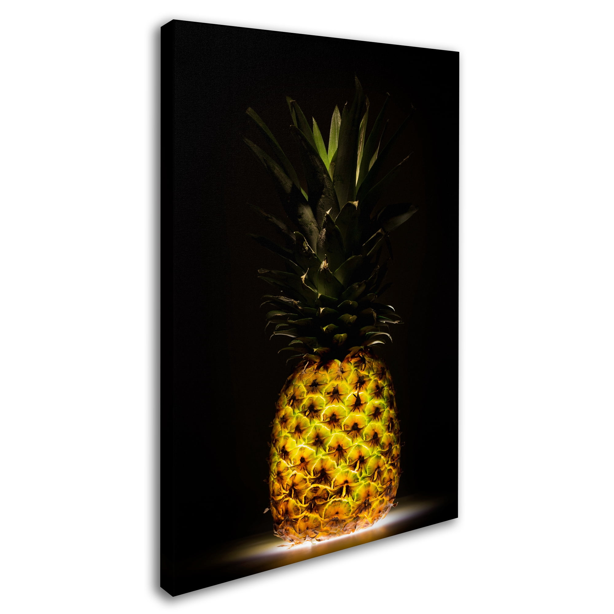 Trademark Fine Art 'Pineapple' Canvas Art by Wieteke De Kogel
