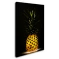 thumbnail image 2 of Trademark Fine Art 'Pineapple' Canvas Art by Wieteke De Kogel, 2 of 3