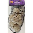 thumbnail image 1 of Minicalaveras humanas Decoration Greenbrier para Halloween, paquete de 8, 1 of 1