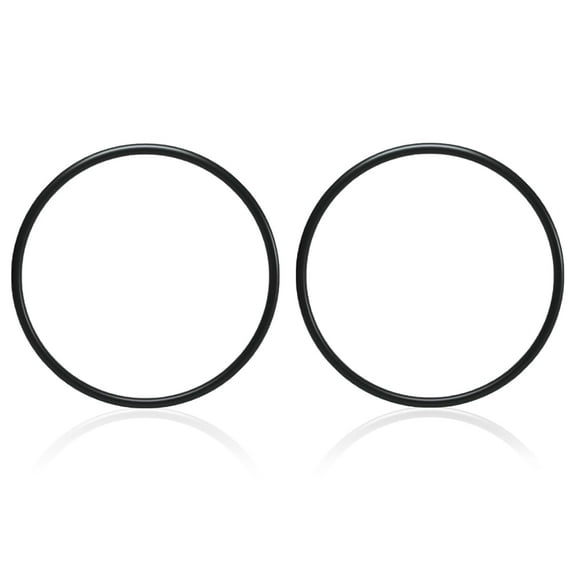 272541 O-Ring Replacement for Pentair Pool Spa Filters and Valves (2PCS)