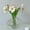 A, variant on Lypsnake Irregular Glass Vases, Smoky Gray Rock Wave Textured Hand Blown Wide Flat Floral Container,Transparent Table Ornament for Living Room Bedroom Entryway Fresh Dried Flower Arrangement