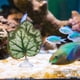 thumbnail image 4 of USHOBE 2Ud Hoja Acuario Para Descanso De Peces Material Plástico, 4 of 6