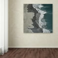 thumbnail image 3 of Trademark Fine Art 'Running Waves' Canvas Art by Lex Molenaar, 3 of 3