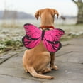 thumbnail image 5 of Pet Party Decoration Chest Transformation for Puppy and Cat Cute Accessory, 5 of 7