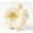 B, variant on Osmanthus Cake Sensory Accessory fidget toys Squishy for Adult Office Stress Relief, White Pastry Shape Tactile Tool for Workplace Focus and Anxiety Management