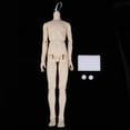 thumbnail image 2 of Resina Flexible 15 articulaciones Cuerpo desnudo y 16 articulaciones Manos DIY masculinas /3 BJD Muñeca articulada Accesorios, 2 of 9