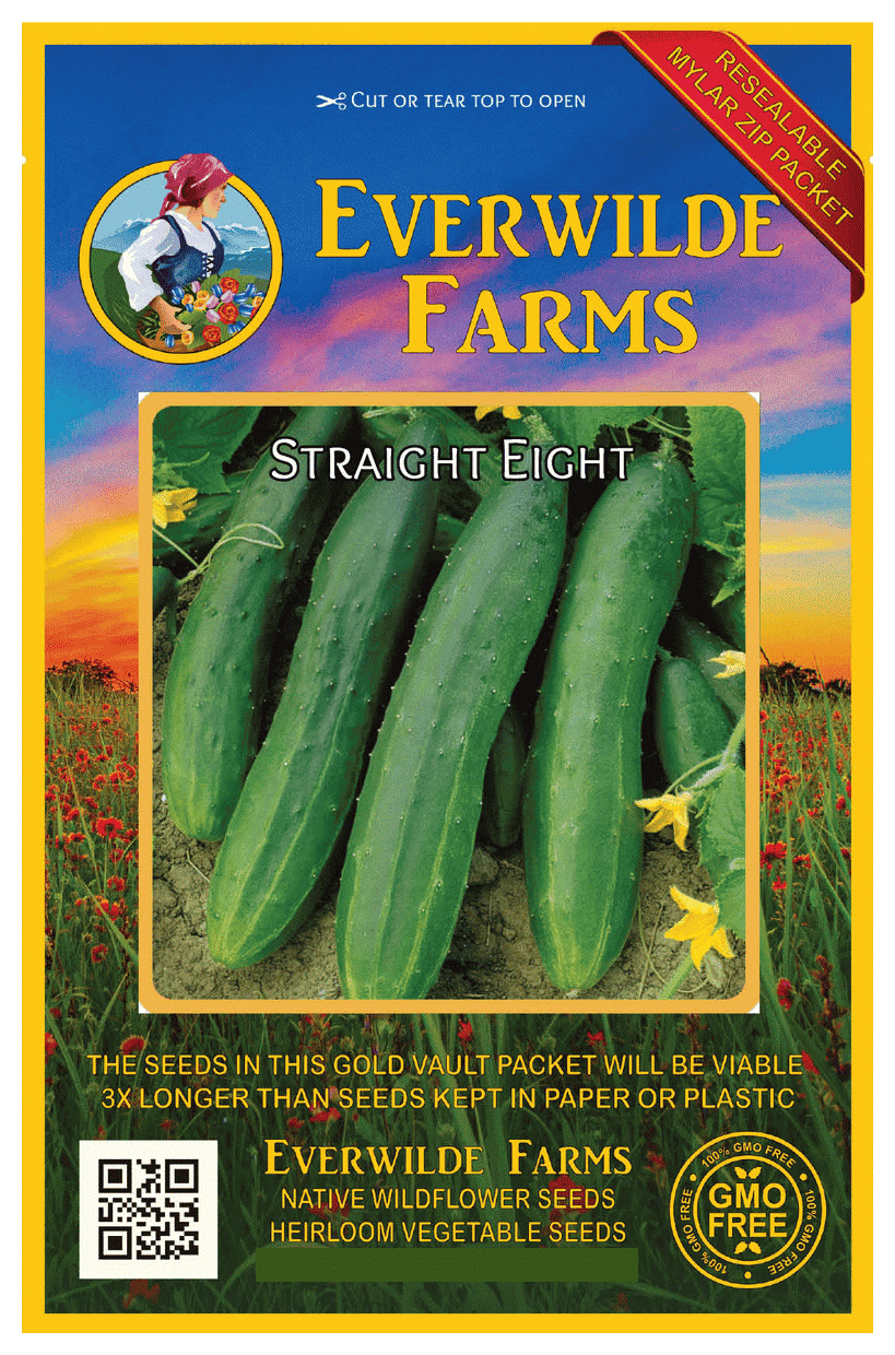 Mr Fothergill's Burpless Cucumber Vegetable Seed 