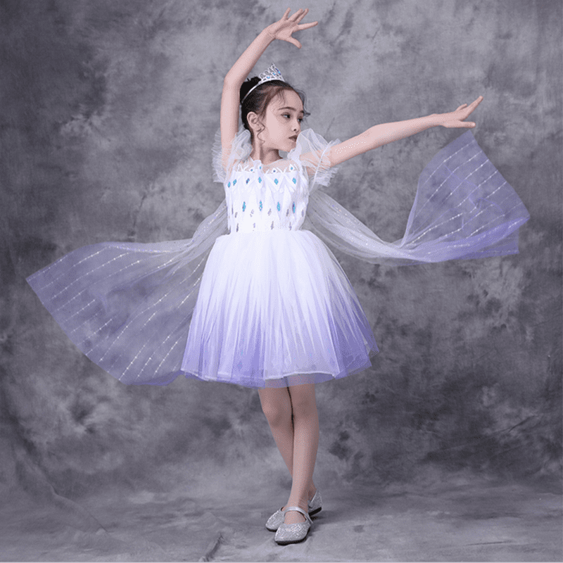 Hawee Elsa Princess Dress Snow Queen Cosplay Snowflake Costume Dresses For Girls Short Sleeve Sequined Princess Party Dress Other