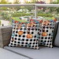 thumbnail image 3 of Outdoor Pillow Covers 20x20 Set of 2, Orange Blue Pumpkins Fall Waterproof Patio Throw Pillow Covers for Couch Sofa Chair, Weeping Botanical Thanksgiving Plaid Pillowcases for Throw Pillows, 3 of 9