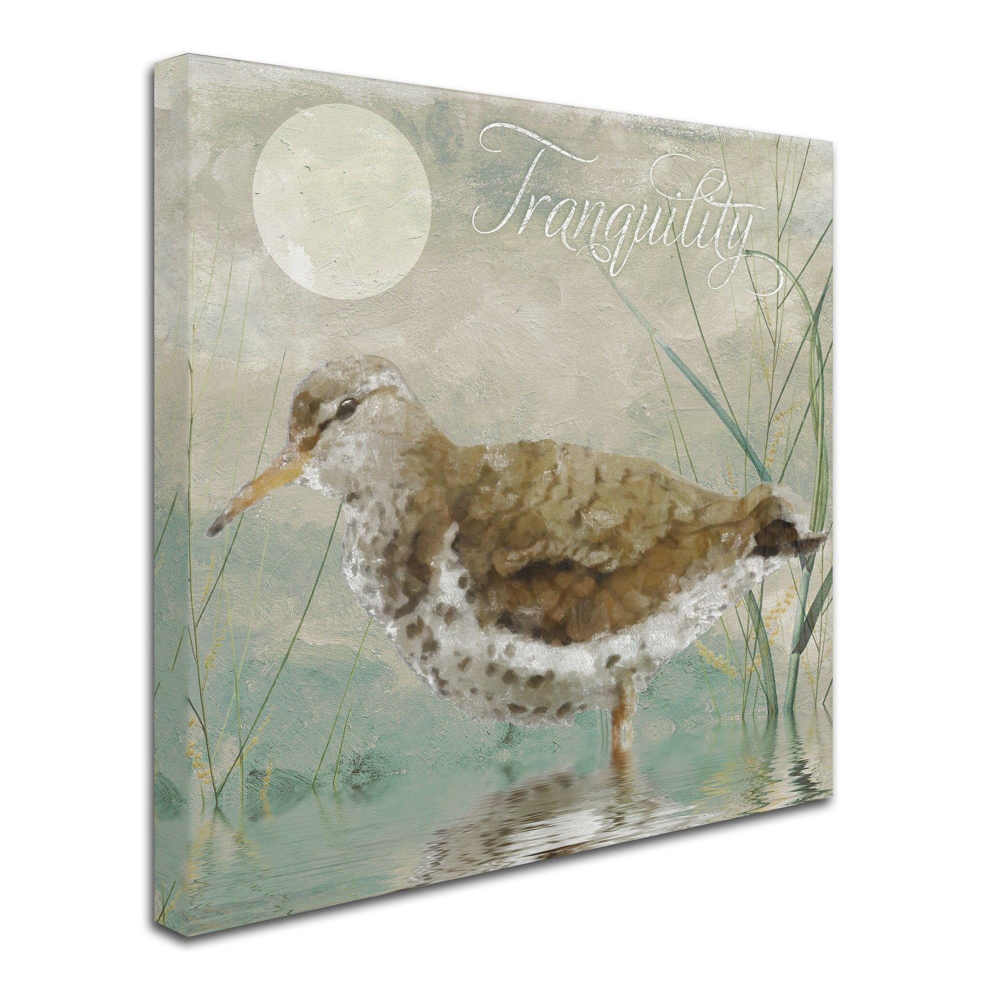 Trademark Fine Art "Sand Piper II" Canvas Art by Color Bakery