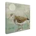 thumbnail image 3 of Trademark Fine Art "Sand Piper II" Canvas Art by Color Bakery, 3 of 4