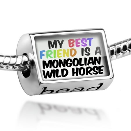 Bead My best Friend a Mongolian Wild Horse Charm Fits All European