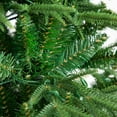 thumbnail image 4 of Nearly Natural 7ft. Pre-Lit Artificial Edmonton Fir Light Show Memory Shape Christmas Tree with Instant Connect Technology and 460 Color Changing LED Lights, 4 of 19