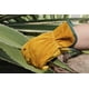 thumbnail image 5 of Guantes de trabajo de cuero Guantes de jardinería de piel de vacuno resistentes para corte de madera/construcción/conducción de camiones/trabajo de jardín/jardín para hombres y mujeres 1 par (dorado, pequeño) - S Sailing  Electrónica, 5 of 5
