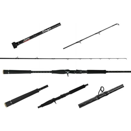 Inshore Casting Rod