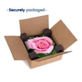 thumbnail image 6 of 3dRose, Pink Rose, 10x10 Wall Clock, 6 of 7
