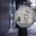 thumbnail image 3 of Pet Dogs Creative Umbrella Rain Automatic Three Folding Umbrellas Windproof Parasol ShopWise Round, 3 of 6