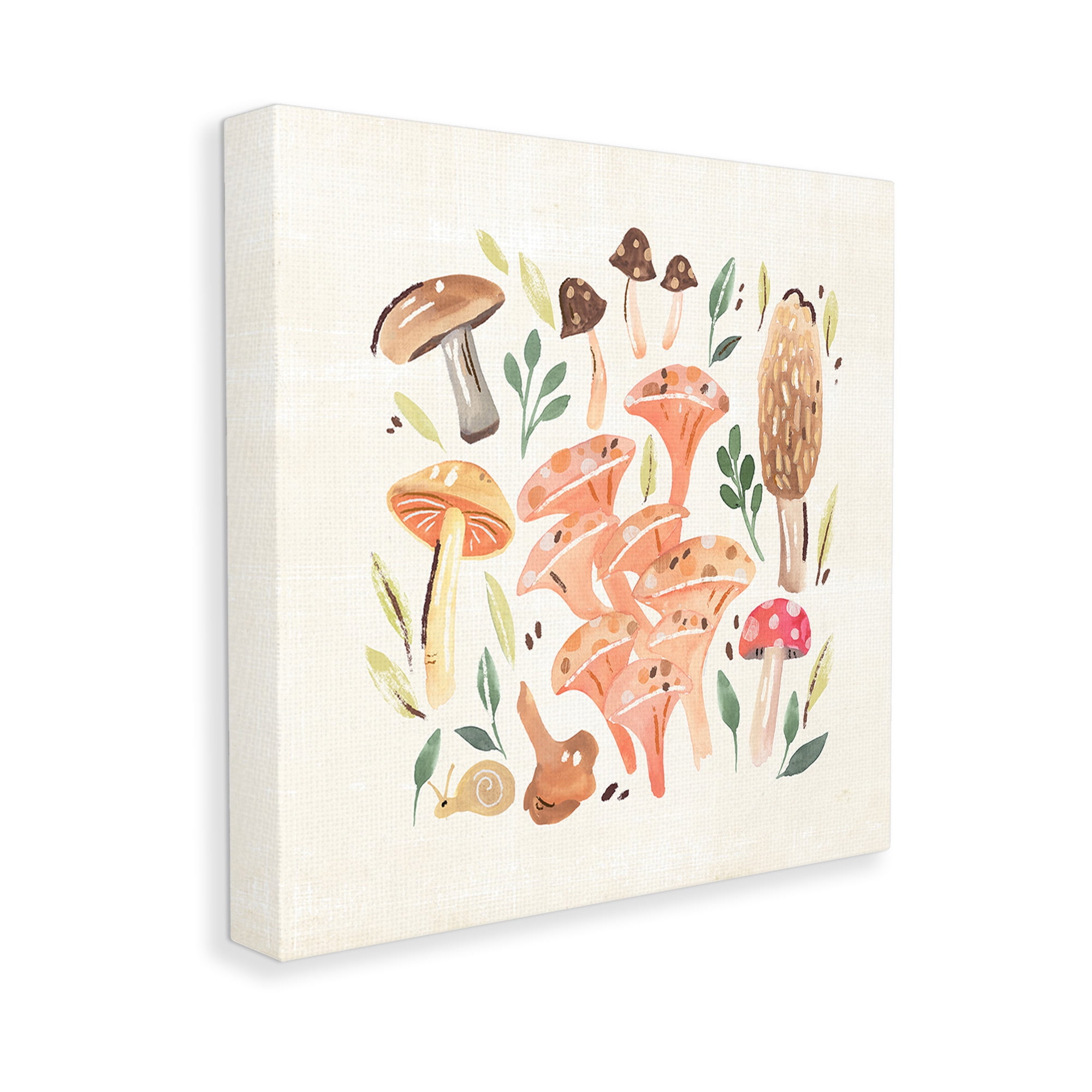 Stupell Industries Varied Mushrooms & Snail Botanical & Floral Painting Gallery Wrapped Canvas Art Print Wall Art, 24 x 24
