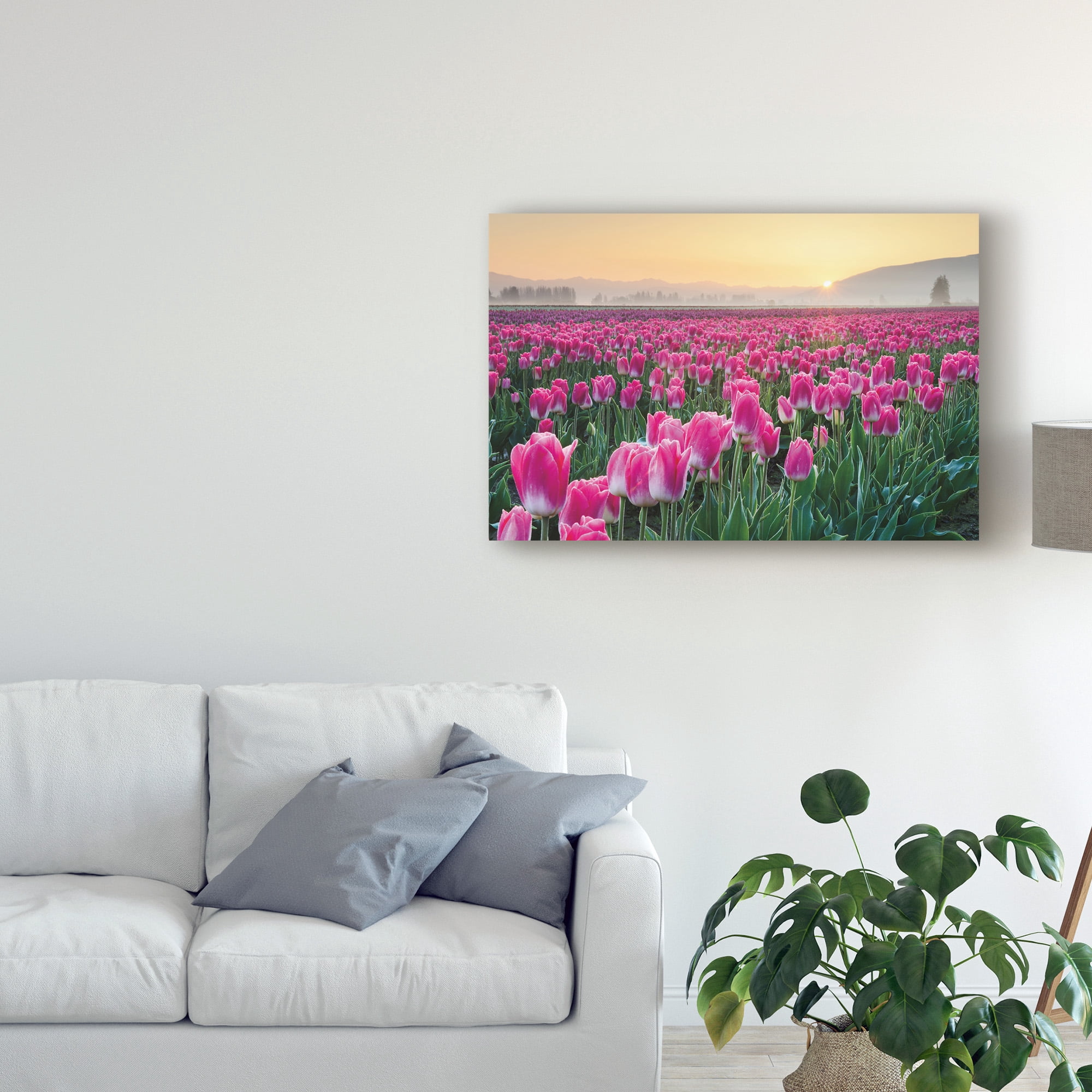 Trademark Fine Art 'Skagit Valley Tulips I' Canvas Art by Alan Majchrowicz