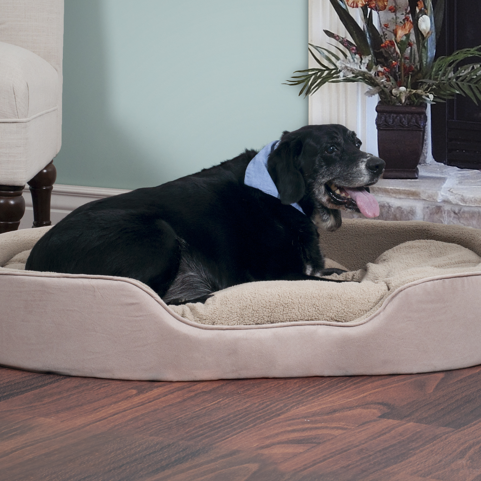 PAW Cuddle Round Suede Terry Pet Bed