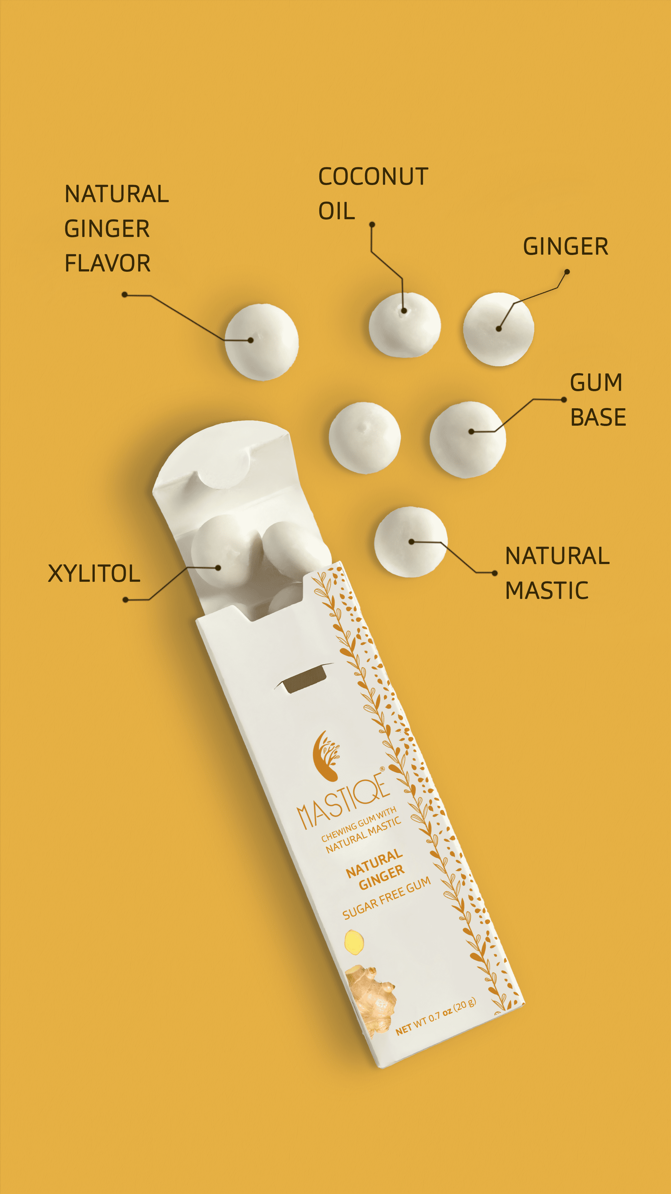 Mastiqe Sugar Free Chewing Gum with Natural Mastic -Ginger