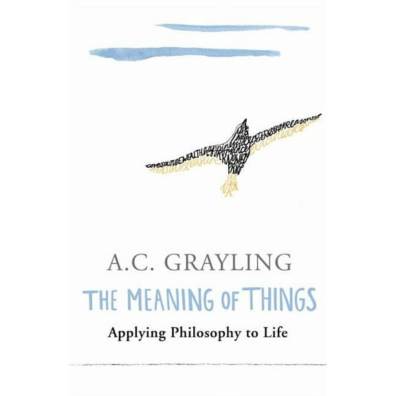 The Meaning of Things (Paperback)