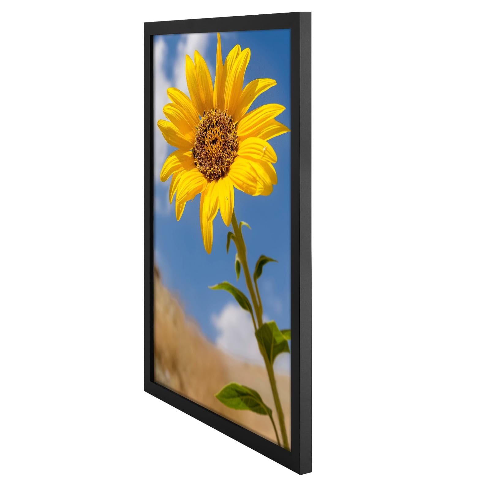 Golden State Art 16.5 in x 23.4 in Black Picture Frames 2 Set
