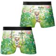thumbnail image 3 of Chihuahua Hello Spring Time Flower Floral Nature All Over Print Boxer Briefs Underwear for Men Dad Dog Lover Gifts Idea - 02031, 3 of 6