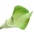 thumbnail image 3 of 10pcs elegante realista toque real artificial PU Calla Lily ramos de flores nupcial boda ramos de flores (verde), 3 of 4