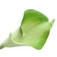 thumbnail image 4 of BESTYASH 10Ud Flores De Artificial Verde Para Ramo Y En Casa, 4 of 4