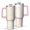 Pink, variant on Floral 40oz Tumbler– Stainless Steel Insulated Tumbler with Handle and Straw, Large Capacity Travel Cup for Hot & Cold Drinks,Thanksgiving,Christmas, Spring,Flower