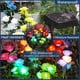 thumbnail image 3 of 2026 Solar Garden Lights Upgraded Outdoor Light, 7 Color Changing Rose Lights for Yard,Garden Decoration, 3 of 5