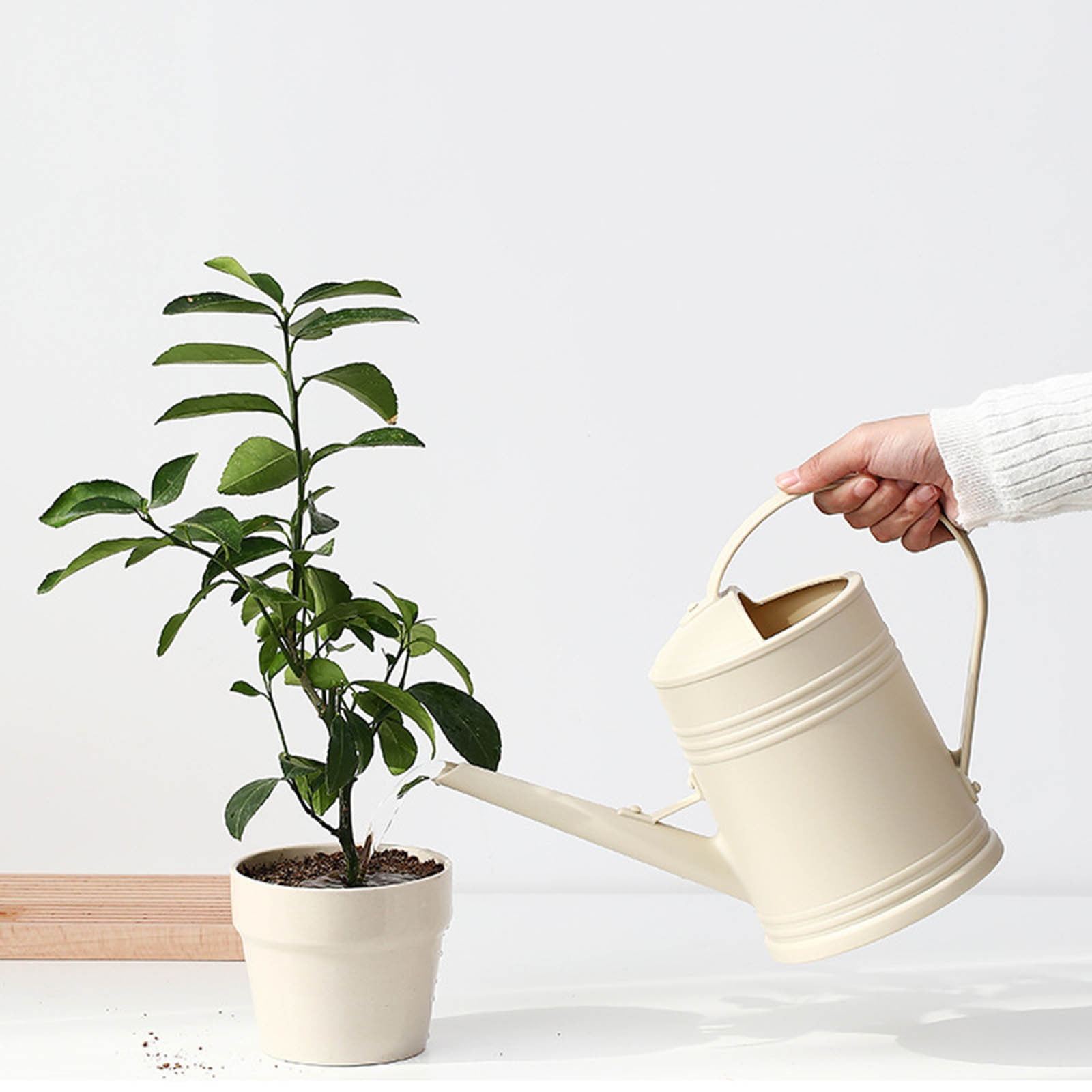 Watering Cans for House Garden Flower, Long Spout Water Can for Outdoor Watering 2 Gallon