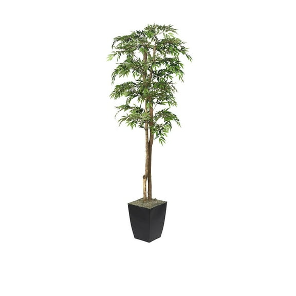 D & W Silks 6' Ruscus Tree in Black Metal Planter