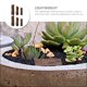 thumbnail image 4 of Adorno de tocón de árbol de simulación, miniatura para casa, jardín de hadas, decoración de plantas bonsái, 6 piezas de resina artificial decorativa, 4 of 6