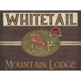 thumbnail image 2 of Vess, June Erica 24x19 White Modern Wood Framed Museum Art Print Titled - Lodge Sign VI, 2 of 4