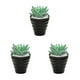 thumbnail image 2 of Inteprter Suculentas falsas con macetas, simulación decorativa para exteriores, miniplantas suculentas, adornos de arreglo para el hogar y la Type1 NO1, 2 of 6