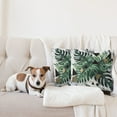 thumbnail image 4 of Ambesonne Monstera Throw Pillow Cover 2 Pack, Boho Abstract Nature Art, 18", Emerald Dark Grey Dimgray, 4 of 7
