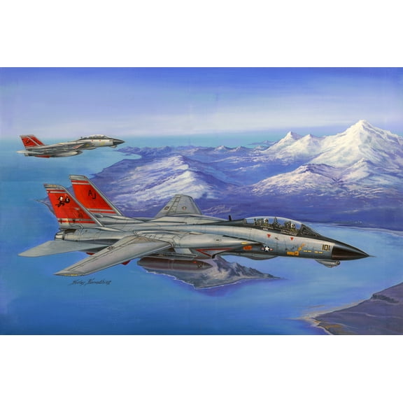 Hobby Boss Models 80368 F-14D SUPER TOMCAT 1:48