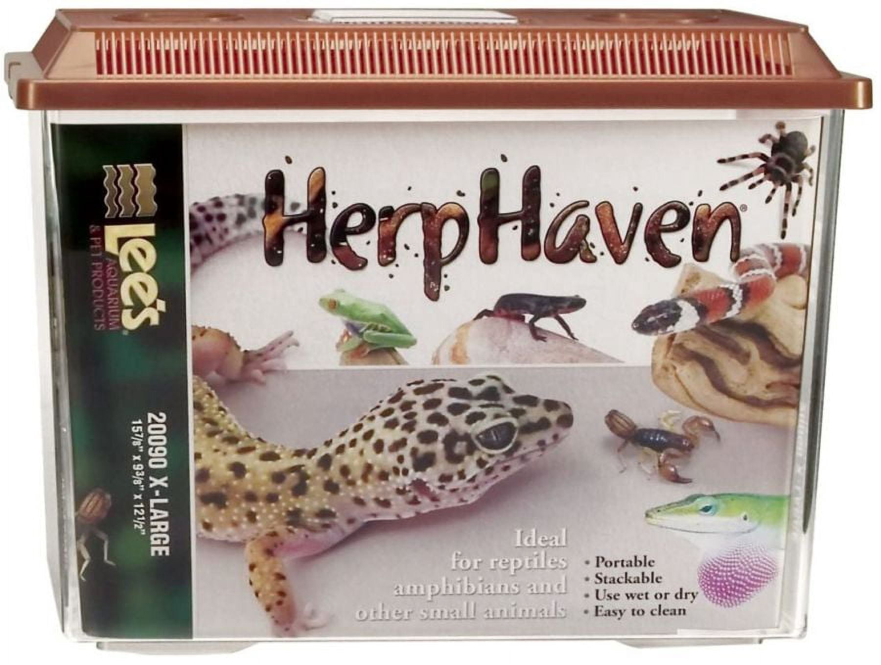 CAVACHEW 20 Gallon Front Opening Reptile Terrarium - 30x12x12 Inch Glass Tank With Screen Top For Snakes, Geckos, Bearded Dragons