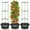 7 gallons, variant on Sturdy Triangle Tomato Cage with Movable 10 Gal Grow Bags - 3 Sets 47'' Plants Garden Trellis Planters, Support for Indoor Outdoor Beans, Peppers, Eggplants, Climbing Vegetables